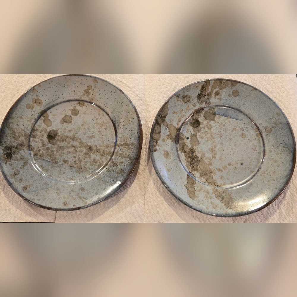Artisan Stoneware Plates -Set of 2